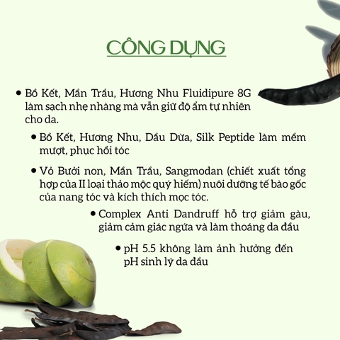 Dầu gội xả Bồ kết Bưởi non Thảo mộc TrueOrganic Ecocare- Kích mọc tóc Chăm sóc chuyên sâu