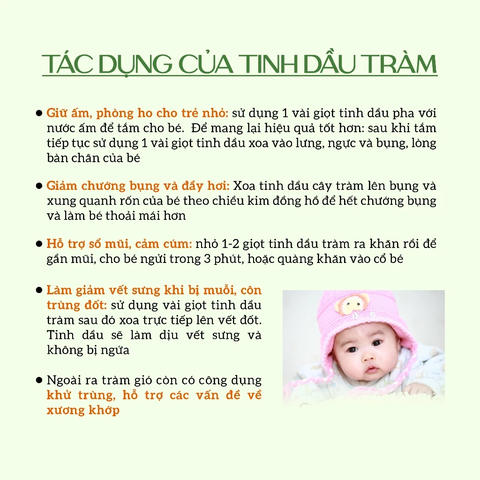 Tinh Dầu Tràm Gió Chống Cảm Cúm ECOCARE - Chai 30ml & 100ml
