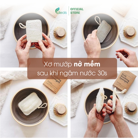Xơ Mướp Rửa Chén Bát, Xoong Nồi ECODEALS