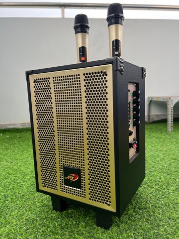Loa kéo AT-T9 300W bass 20cm kèm 2 micro không dây hát karaoke di động [