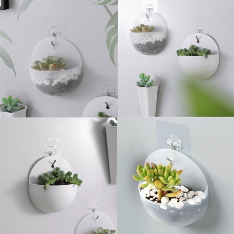 Chậu cây treo tường trang trí mẫu tròn bằng nhựa siêu đẹp Chậu cây treo tường trang trí mẫu tròn bằng nhựa siêu đẹp