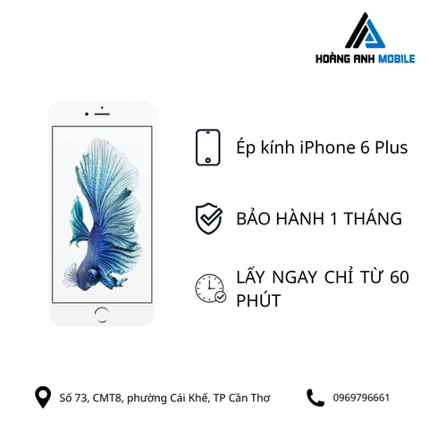 Ép kính iPhone 6 Plus