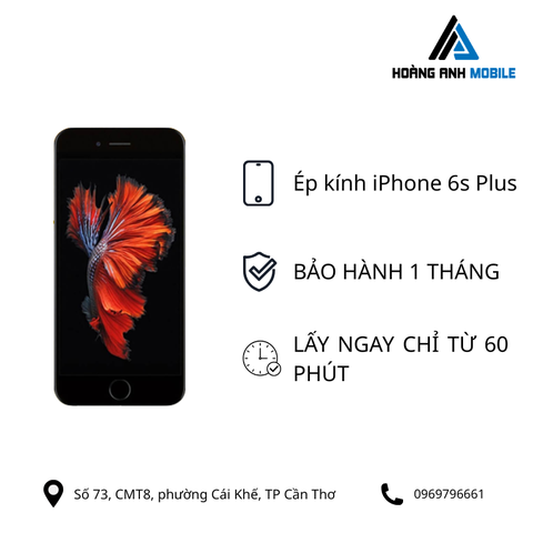 Ép kính iPhone 6s Plus