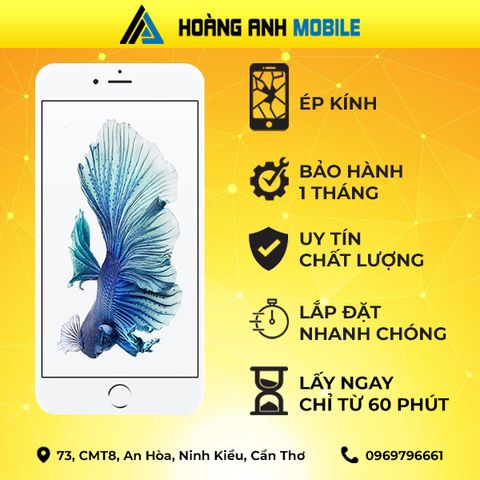 Ép kính iPhone 6
