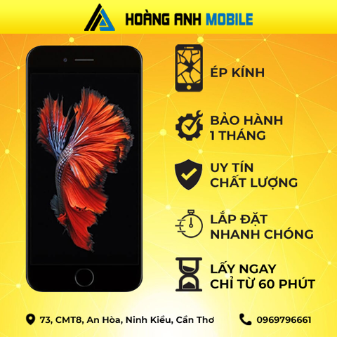 Ép kính iPhone 6s Plus