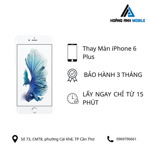 Thay màn hình iPhone 6 Plus