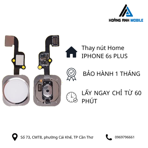 Thay nút home iPhone 6s Plus