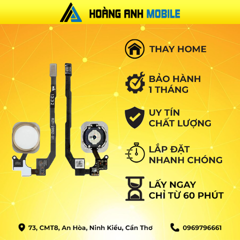 Thay Home/Cáp loa trong/Loa ngoài/Thay sạc iPhone 5c