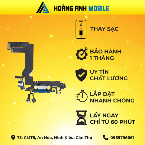 Thay camera sau/Cáp loa trong/Thay sạc iPhone 13