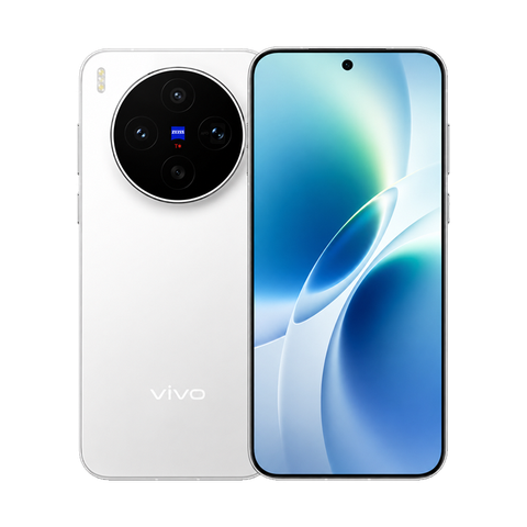 Vivo X300s
