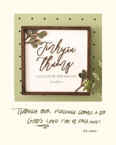 Eucalyptus | Joshua vuông