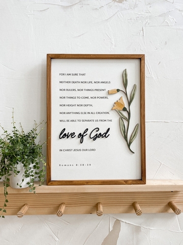 Yellow snowdrop | Joshua chữ nhật