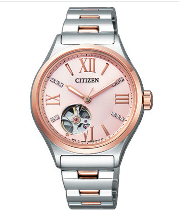 Citizen PC1006-50W