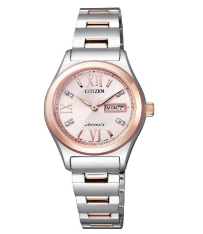 Citizen PD7166-54W