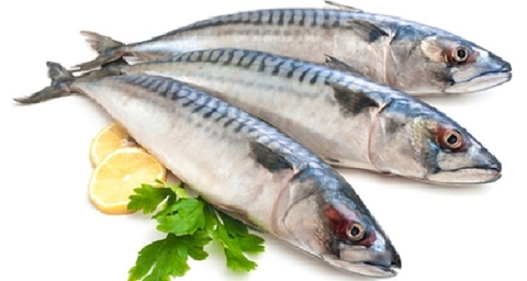 Cá thu Nhật Bản