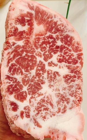 GÙ HOA BÒ ÚC