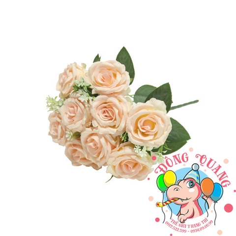 Hoa Hồng nhung - bụi - 9 bông