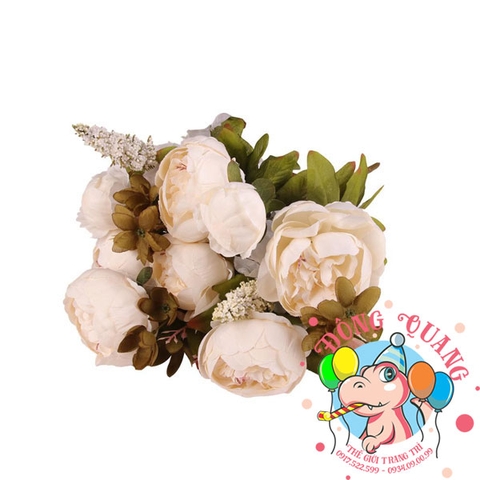 Hoa Mẫu đơn (Trang) - bụi - 6 bông - Trung Quốc