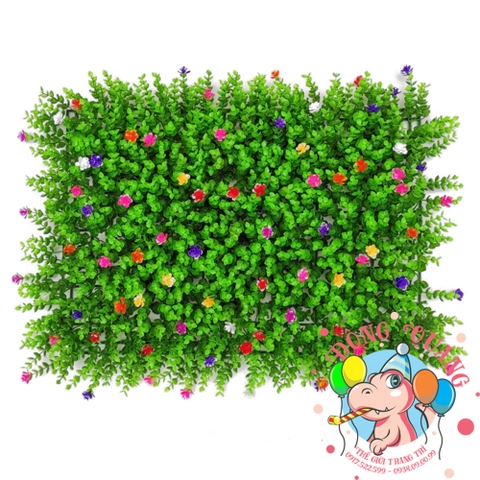 Thảm cỏ Tai chuột có hoa 40x60cm