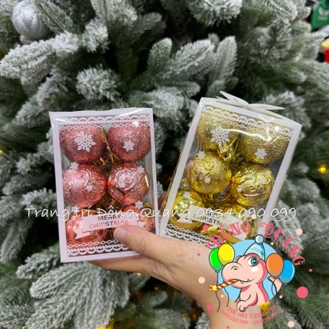 Set 12 châu hỗn hợp 3 kiểu