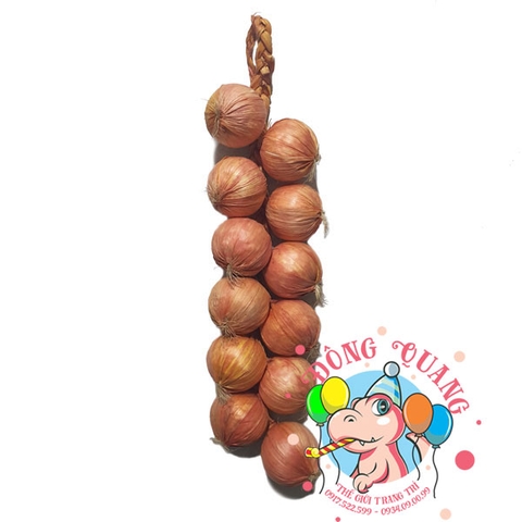 Hành tây - dây - 12 củ