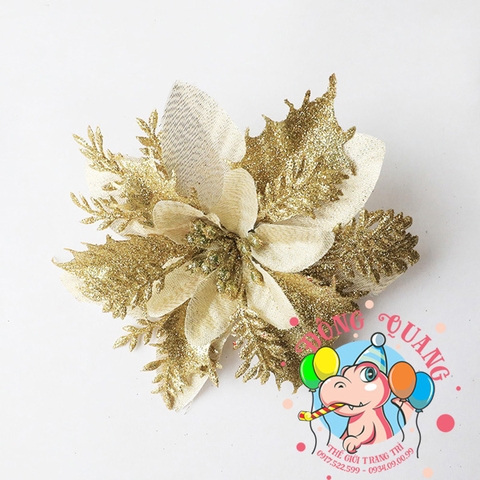 Hoa trạng nguyên 13cm (set 5/10)