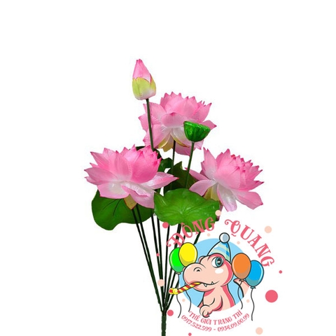 Hoa Sen vải - bụi - 3 bông 1 nụ