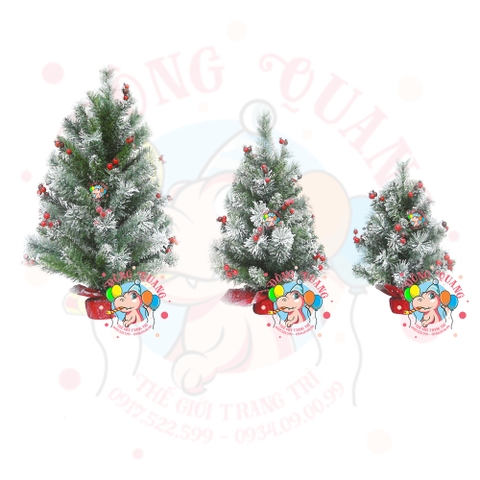 Cây thông mini 3 loại lá phủ tuyết gắn cherry