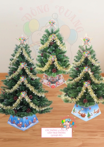 Cây thông 3 loại lá gắn trái thông