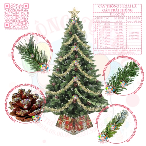 Cây thông 3 loại lá gắn trái thông