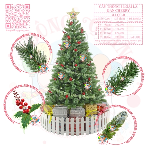 Cây thông 3 loại lá cherry