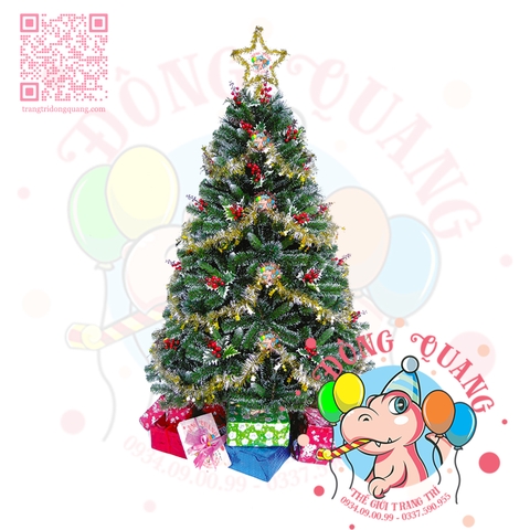 Cây thông 3 loại lá cherry