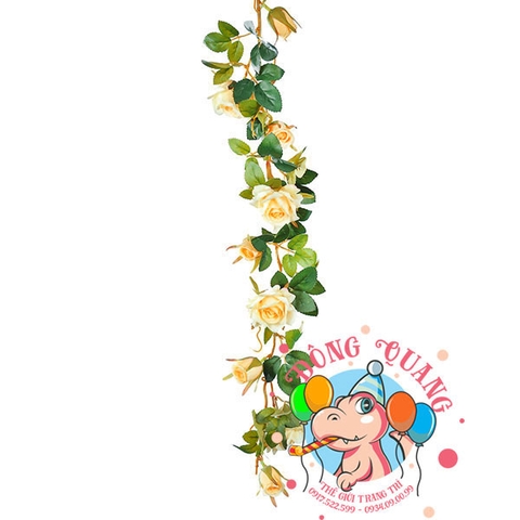 Hoa hồng - dây - 7 bông, 7 nụ