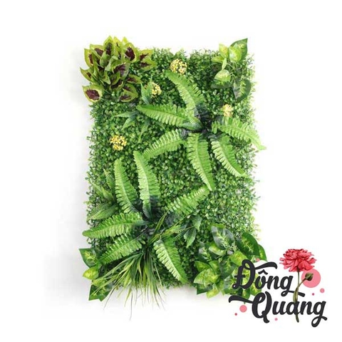 Thảm cỏ Dương xỉ - Trầu bà 40x60cm
