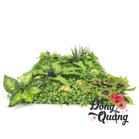 Thảm cỏ Dương xỉ - Trầu bà 40x60cm