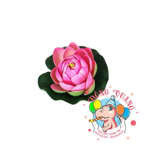 Hoa sen búp - thả nổi - 10cm