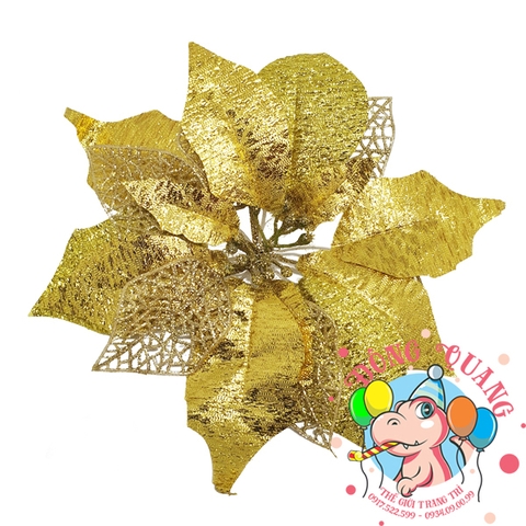 Hoa trạng nguyên 25cm (set 5/10)