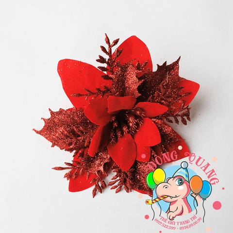 Hoa trạng nguyên 13cm (set 5/10)