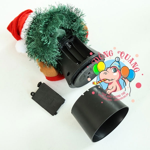 Cây thông nhảy múa