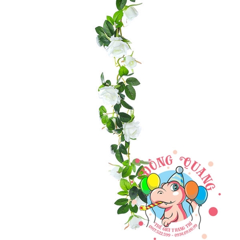 Hoa hồng - dây - 7 bông, 7 nụ