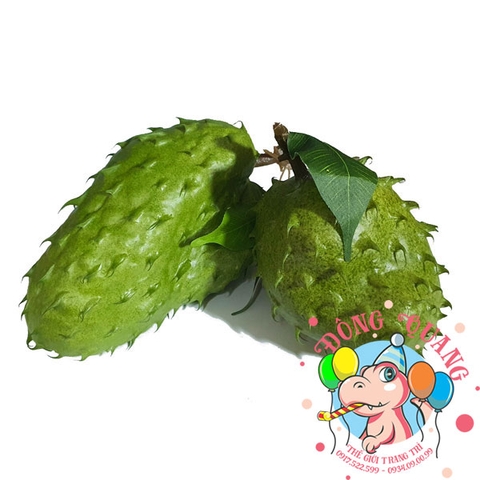 Mãng cầu Xiêm (gai) - trái