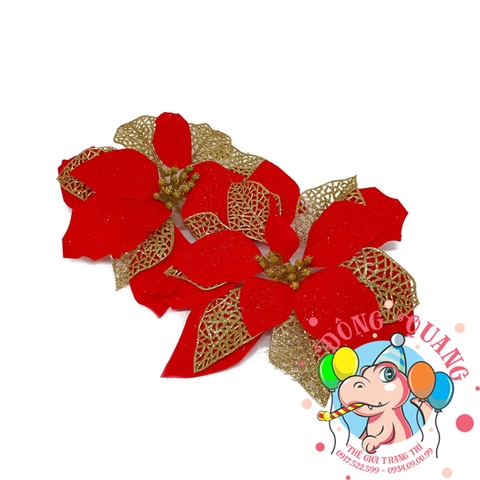 Hoa trạng nguyên 25cm (set 5/10)