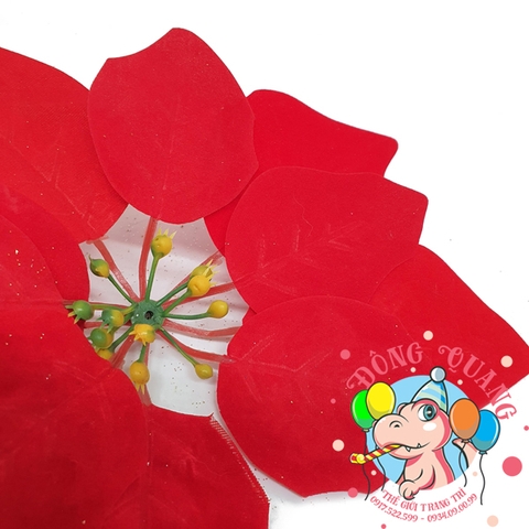 Hoa trạng nguyên 25cm (set 5/10)