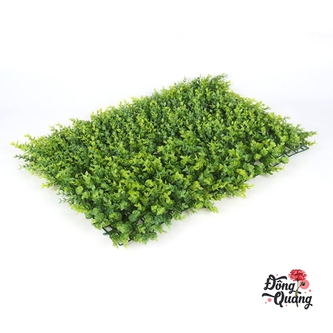Thảm cỏ Tai chuột 40x60cm