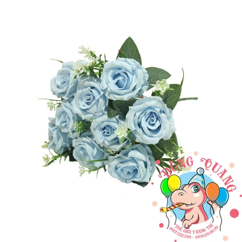 Hoa Hồng nhung - bụi - 9 bông