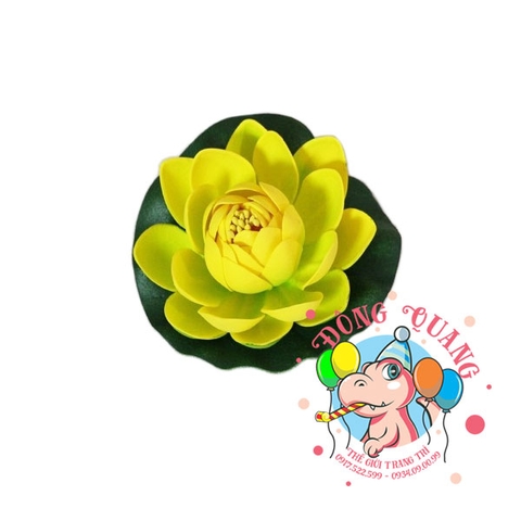 Hoa sen búp - thả nổi - 10cm