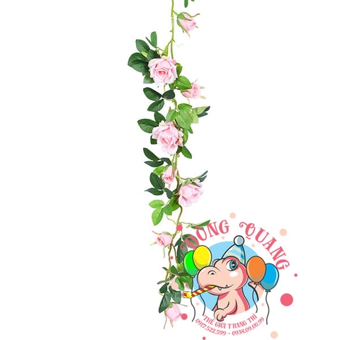 Hoa hồng - dây - 7 bông, 7 nụ