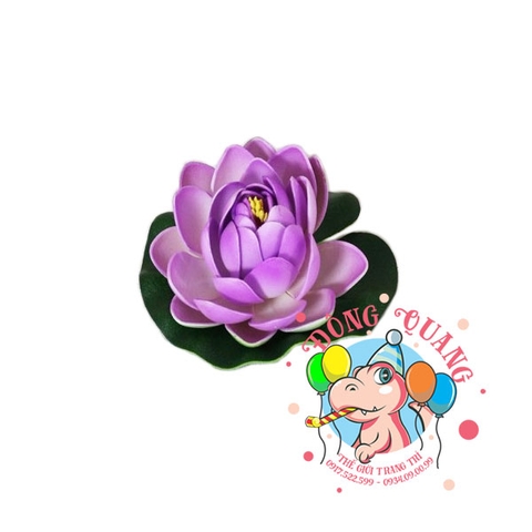 Hoa sen búp - thả nổi - 10cm