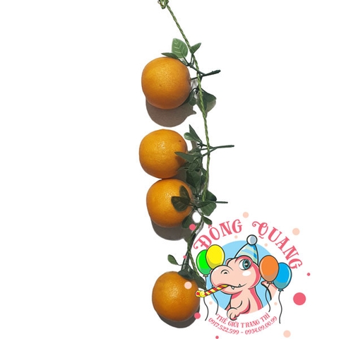 Trái Cam - dây - 4 trái