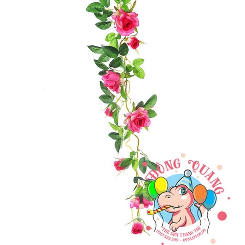 Hoa hồng - dây - 7 bông, 7 nụ
